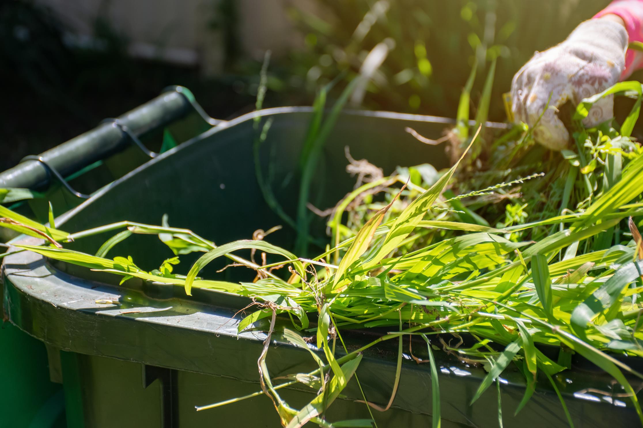 waste-collection-services-in-kent-south-east